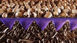The skulls and bones of Rwandan victims rest on shelves at a genocide memorial inside the church at Ntarama just outside the capital Kigali, August 6, 2010.