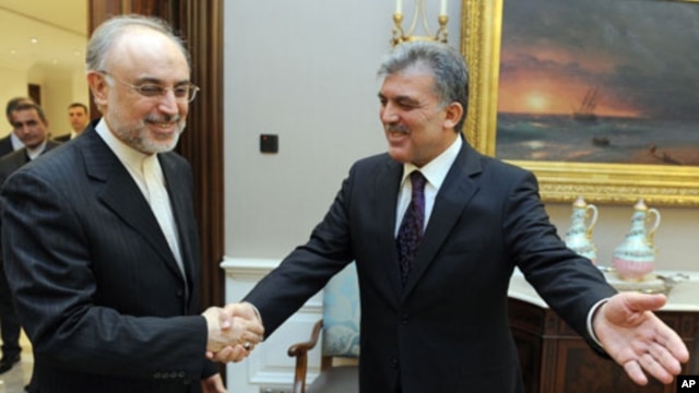 In this photo released by the Turkish Presidency Press Office, Turkish President Abdullah Gul, right, greets Iran's Foreign Minister Ali Akbar Salehi before a meeting in Ankara, Jan. 18, 2012.