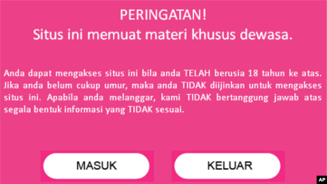 A screen grab of zoyaamirin.com, a site for sex education in Indonesia.
