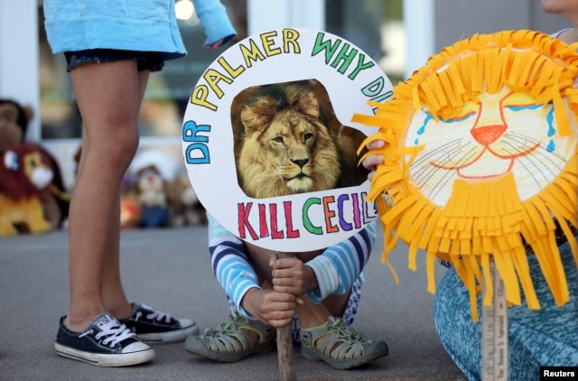 Piper Hoppe, 10, from Minnetonka, Minnesota, holds a sign at the doorway of River Bluff Dental clinic in protest against the killing of a famous lion in Zimbabwe, in Bloomington, Minnesota July 29, 2015.