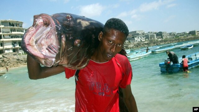 A Somali fisherman carries a fish called "Yapuri" as he walks from Hamarweyne beach in Mogadishu, Somalia, November 22, 2008. 