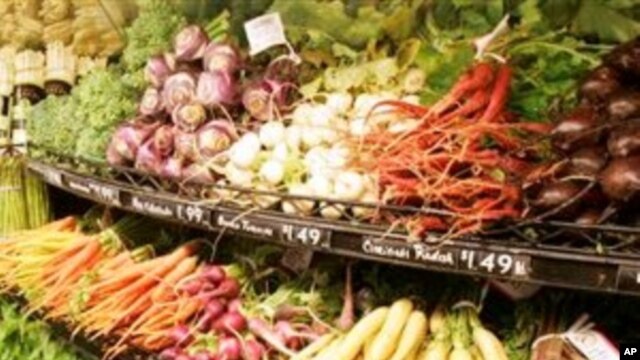 Development Expert Says Africa Can be Food Self-Suffient