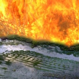 Raised fields in French Guyana that remain much as ancient Amazonian farmers left them. The simulated flames represent the European slash-and-burn agriculture that came afterward.