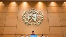 WHO Director-General Margaret Chan is seen speaking at the World Health Assembly in Geneva in this May 21, 2012, file photo.