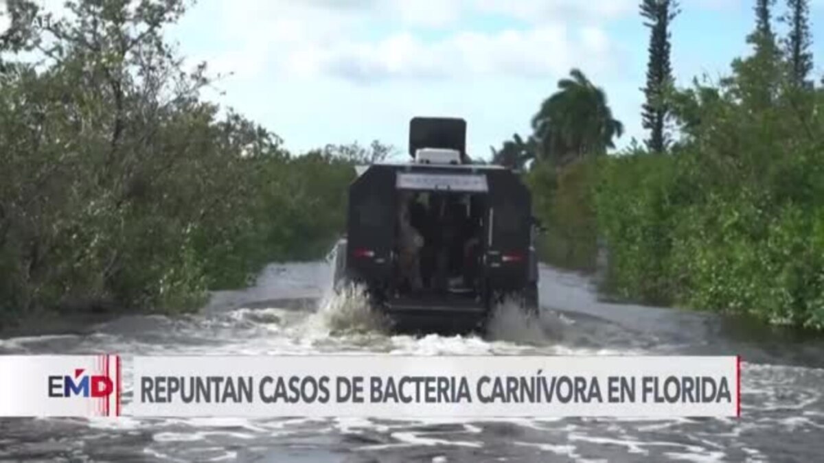 Emiten Alerta Por Bacteria Come Carne En Areas De Florida Impactadas