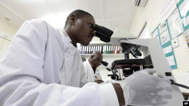 Kenya Medical Research Institute doctors research malaria at the clinical research facility laboratory in the Kenya coastal town of Kilifi, November 23, 2010