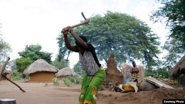 Every day millions of Africans must use woodcook food and boil water – an environmentally destructive and often dangerous task (Darren Taylor / VOA News)