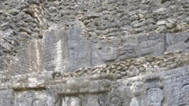 Monumen batu seperti yang ada di Caracol, Belize, mendokumentasikan pertarungan, kelahiran dan kematian pada suku Maya. (Douglas Kennett, Penn State)