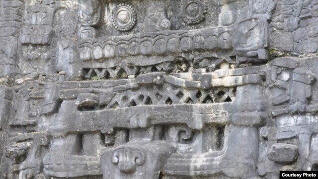 Stone monuments like this stucco frieze in Caracol, Belize, document Maya battles, births and burials. (Photo image of Douglas Kennett, Penn State)
