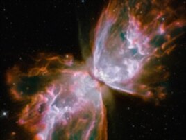 These roiling cauldrons of gas are actually a dying star that was once about five times the mass of the sun. The "butterfly" stretches for more than two million light-years.