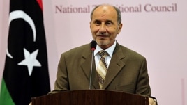 Mustafa Abdel Jalil (2011 photo)