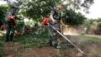 Soldiers clean a backyard to prevent the spread of yellow fever in San Lorenzo, Paraguay, Feb 19, 2008.