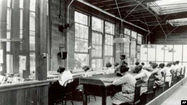 Young women at work in the US Radium factory in Orange, New Jersey in the mid-1920s. Many became ill and died after working with radioactive glow-in-the-dark paint.