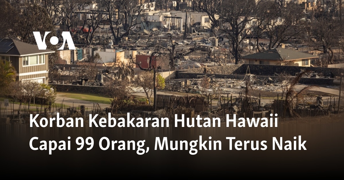 Korban Kebakaran Hutan Hawaii Capai 99 Orang Mungkin Terus Naik