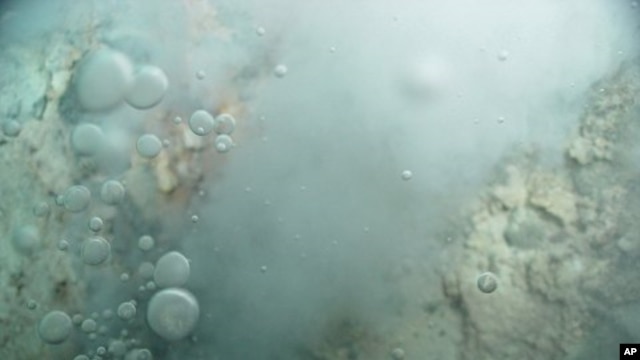 Image of bubbles of liquid carbon dioxide floating out of the seafloor at Champagne vent on Northwest Eifuku volcano in the western Pacific Ocean (File)