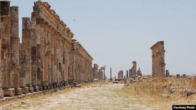Mile-long remnants of Syria's colonnade of Roman city of Apamea, photographed before war began. The site was reportedly shelled and occupied recently by Syrian government tanks. (Christian Sahner) 