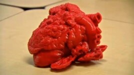 3D printed heart