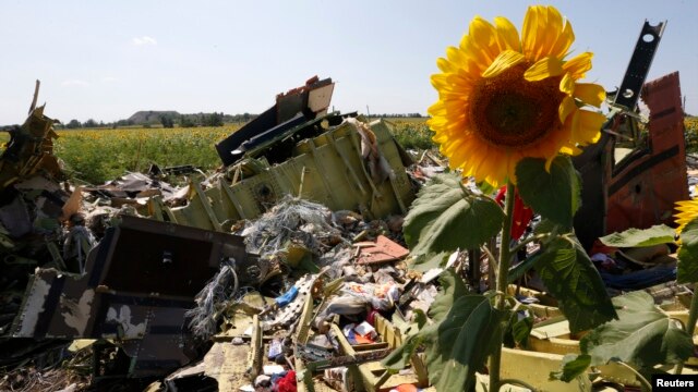 Đống đổ nát và các mảnh vỡ tại nơi máy bay Malaysia bị bắn rơi gần làng Hrabove (Grabovo), Donetsk, ngày 26/7/2014.