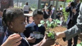 Children learn about plant science at the Natural History Museum of Los Angeles County.