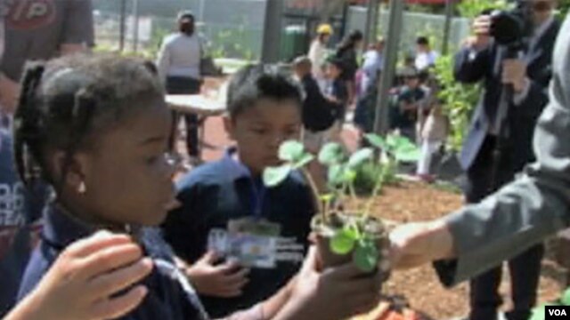 Children learn about plant science at the Natural History Museum of Los Angeles County.