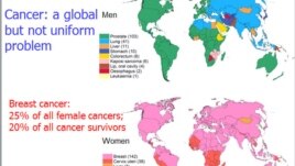 Raporti për Kancerin në Botë