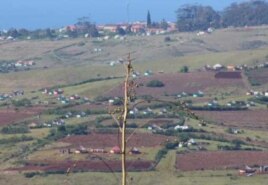 Zithulele Hospital looms in the distance in Oliver Tambo District, South Africa … Ndabazonke must walk very far over rough terrain, on crutches, to see her therapist at the facility