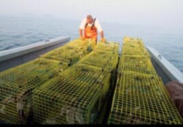 Paul Cabral lines up the lobster traps on the boat's deck.