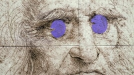 Leonado's Da Vinci picture 