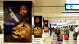 Ads opposing the lion bone trade posted at Johannesburg airport. (Avaaz)