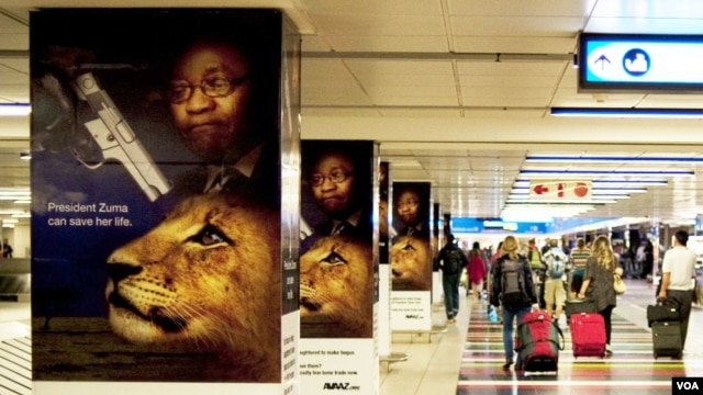 Ads opposing the lion bone trade posted at Johannesburg airport. (Avaaz)