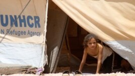 A Syrian refugee girl looks out from a tent amidst dust at Al Zaatri refugee camp in the Jordanian city of Mafraq, near the border with Syria, August 13, 2012.