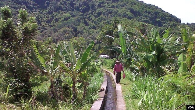 Sistem pengairan persawahan di salah satu Subak di Bali (foto: Muliarta).