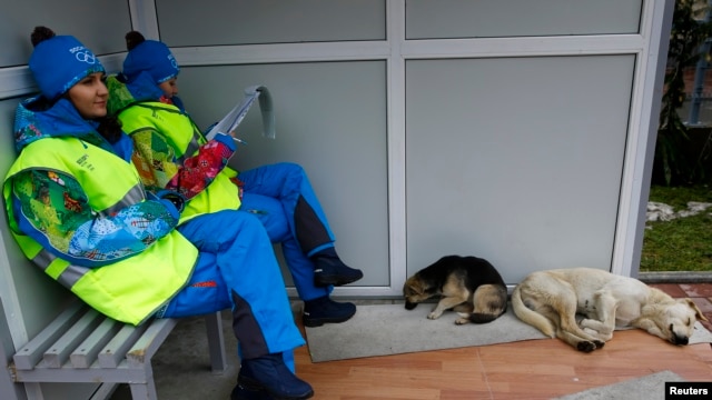 Olympics volunteers sit near two stray dogs outside the Gorki media center in Krasnaya Polyana near Sochi, Russia, Jan. 30, 2014. 