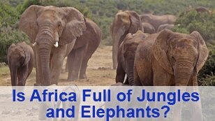 All About America Promo