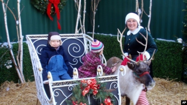 Jingles the reindeer poses with owner Sonya Benhardt and young fans at Swanson's Nursery in Seattle, Washington.