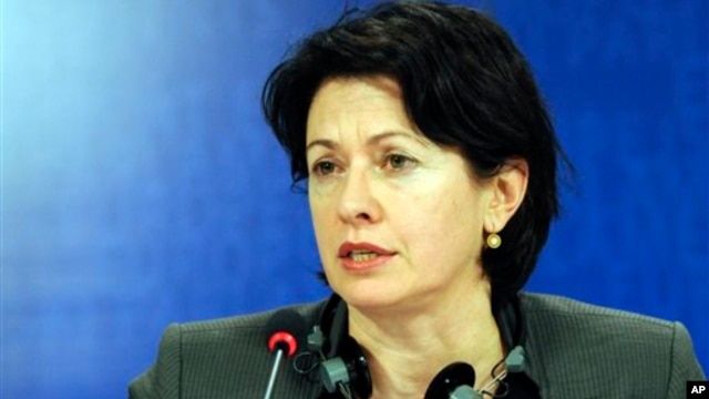 Chair of the European Parliament Subcommittee for Human Rights, Barbara Lochbihler, talks to the media, February 2010.
