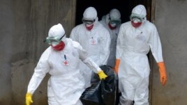 Medical workers of the Liberian Red Cross, wearing a protective suit, carry the body of a victim of the Ebola virus in a bag on Sept. 4, 2014 in the small city of Banjol, 30 kilometers from Monrovia. 