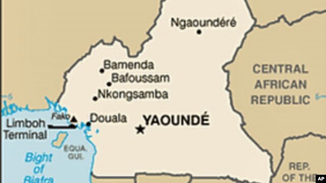 Raid Frees Foreign Hostages In Cameroon