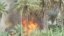 Orchards burn in Khanaqin/ فۆتۆ. سه‌روه‌ر عه‌لی
