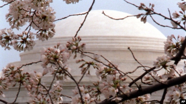 The Thomas Jefferson Memorial on the Tidal Basin in Washington