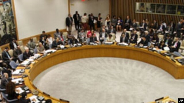 United Nations Security Council