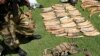  Illegal Ivory Trade Funds African Rebel Groups