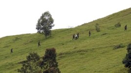 Des rebelles du M23 vus sur une colline surplombant Goma, à six kilomètres du centre de la ville – 3 décembre 3, 2012