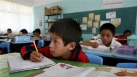 El flujo de las remesas hacia los países en desarrollo alcanzó los $350,000 millones de dólares en 2011 ayudando a la educación.