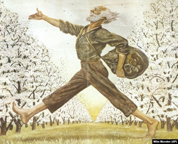 An illustration in The Saturday Evening Post showing American folk hero Johnny Appleseed. (AP Mike Munden)