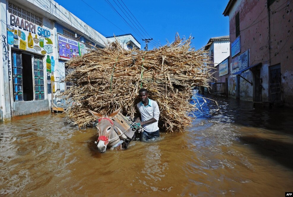 صومالیہ: موغادیشو کے شمال میں واقع بیلےڈوائن میں سیلابی پانی میں گھری ہوئی ایک سڑک