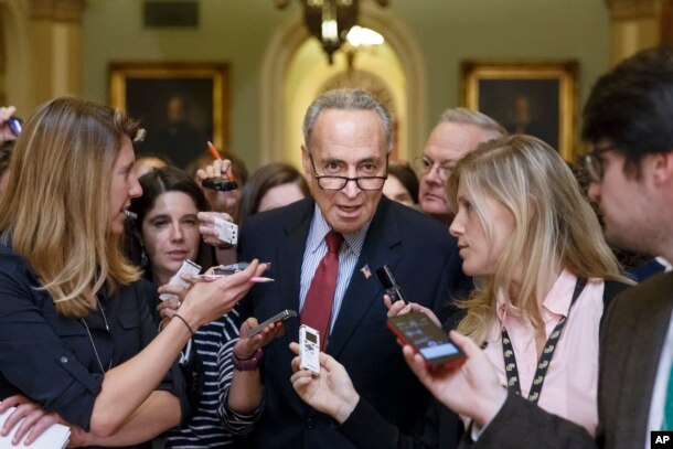 FILE - Sen. Chuck Schumer is surrounded by reporters at the Capitol in Washington, D.C., July 29, 2014.