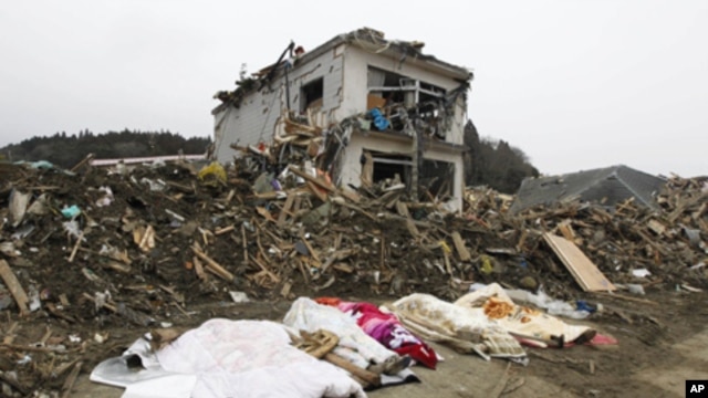 The bodies of victims are covered by blankets at a village destroyed by the earthquake and tsunami in Rikuzentakata in Iwate prefecture, northeast Japan March 15, 2011