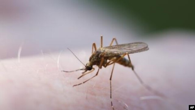 Sophisticated mathematical modeling could assist health planners in the fight against malaria.