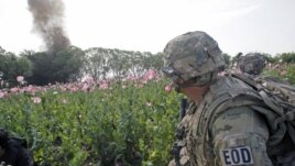 A U.S. Army Explosive Ordnance Disposal Technician from 5-20 infantry Regiment attached to 82nd Airborne looks at an intentional detonation of an explosive device in Zharay district in Kandahar province, southern Afghanistan, April 26, 2012. 